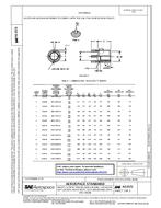 SAE AS3572