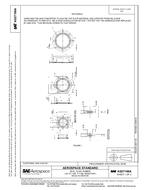 SAE AS27198A